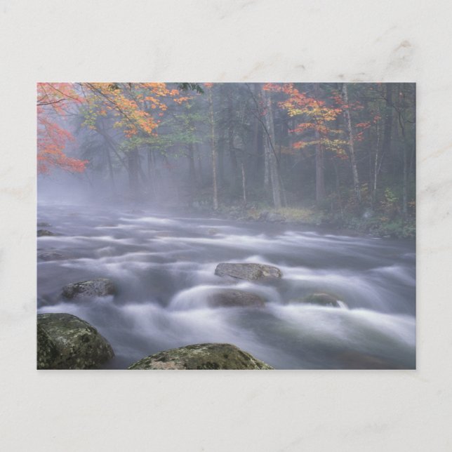 Postal EE. UU., Nueva York, Adirondacks, río Big Moose (Anverso)