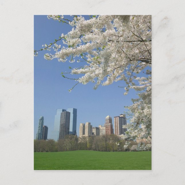 Postal EE.UU., Nueva York, Nueva York, Manhattan:4 (Anverso)