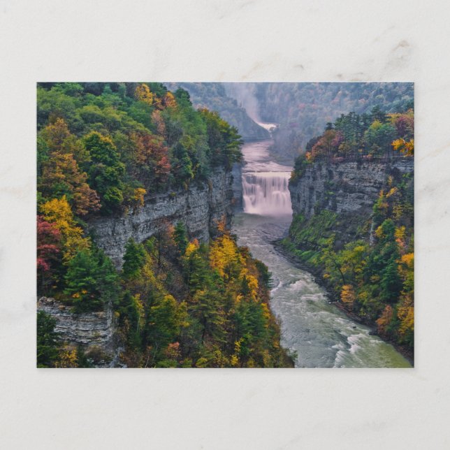 Postal EE. UU., Nueva York, Parque Estatal Letchworth. Rí (Anverso)