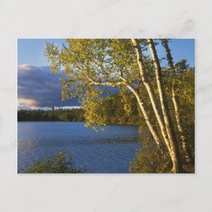 Postal EE. UU., Nueva York, Parque y Reserva Adirondack