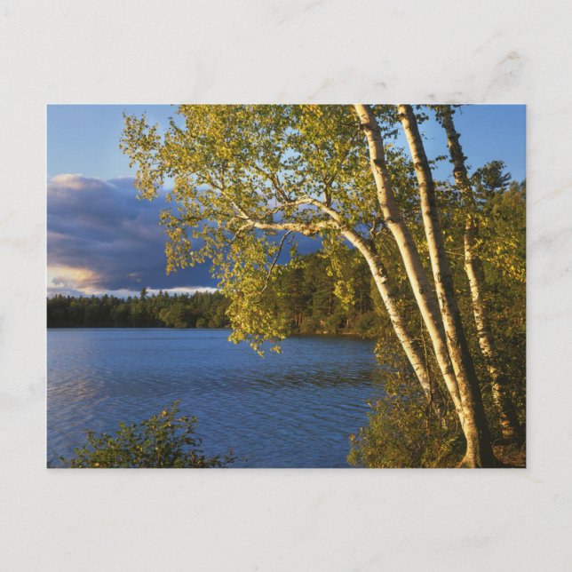Postal EE. UU., Nueva York, Parque y Reserva Adirondack (Anverso)
