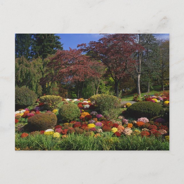 Postal EE. UU., Nueva York, Saugerties, Seamon Park. Otoñ (Anverso)