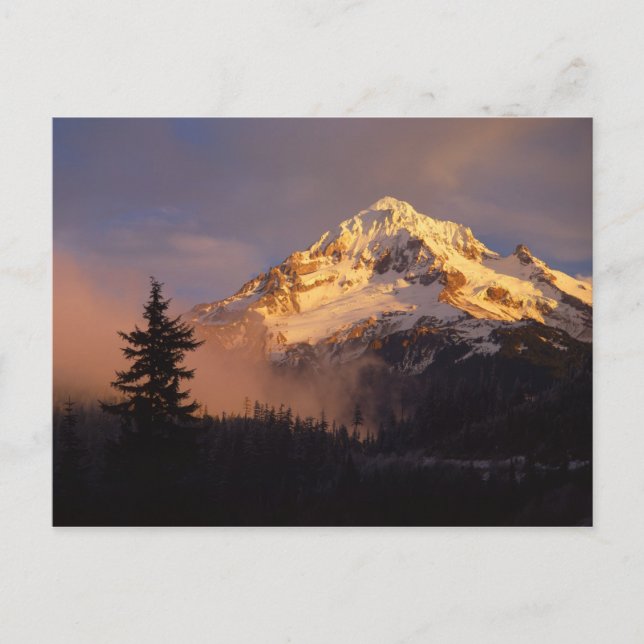Postal EE. UU., Oregón, Bosque Nacional Mt. Hood. Rodando (Anverso)