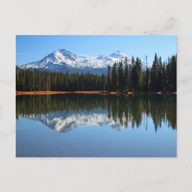 Postal EE. UU., Oregón, Bosque Nacional Willamette 2 (Anverso)