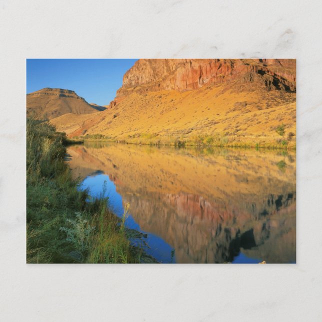 Postal EE. UU., Oregón, Cañón del río Owyhee (Anverso)