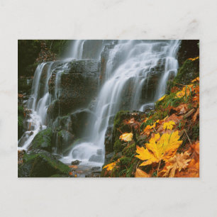 Postal EE.UU., Oregón, Cataratas de hadas, desfiladero de
