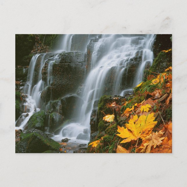 Postal EE.UU., Oregón, Cataratas de hadas, desfiladero de (Anverso)