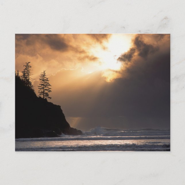 Postal EE.UU., Oregon, cerca del Parque Estatal Oswald We (Anverso)