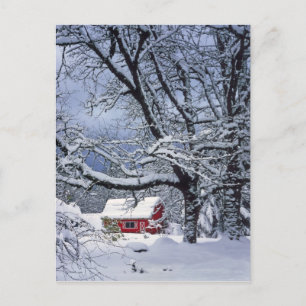 Postal EE. UU., Oregón, condado de Clackamas. Nieve fresc