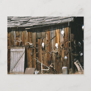 Postal EE.UU., Oregón, condado de Harney. Vieja vida esta