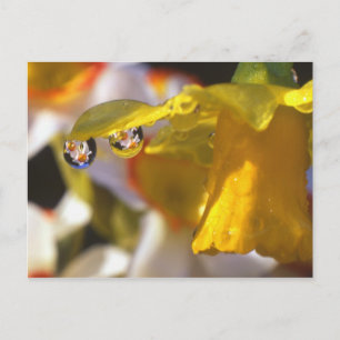 Postal EE.UU., Oregón, condado de Multnomah, clausura de