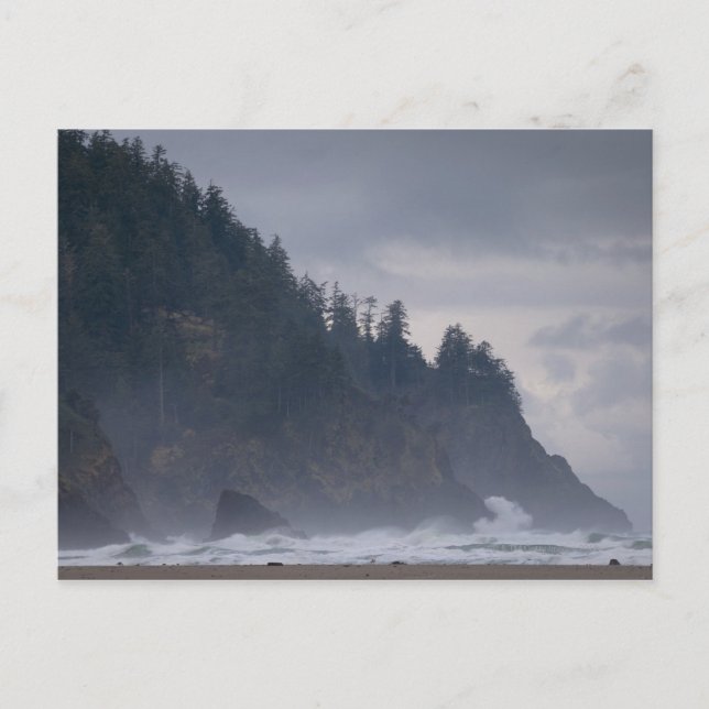 Postal EE.UU., Oregón, condado de Tillamook, bosque en la (Anverso)