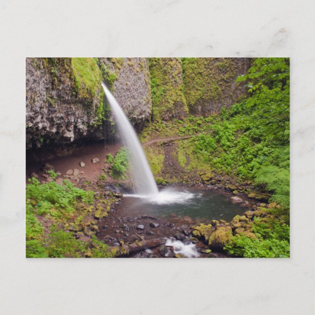 Postal EE.UU., Oregón, desfiladero del río Columbia 4 (Anverso)