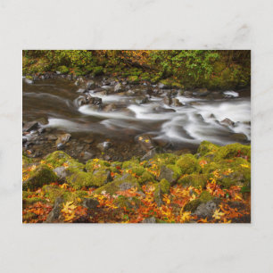 Postal EE.UU., Oregón, desfiladero del río Columbia, arro