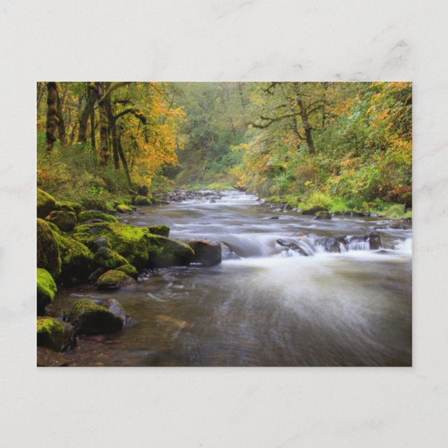 Postal EE.UU., Oregón, desfiladero del río Columbia, arro (Anverso)