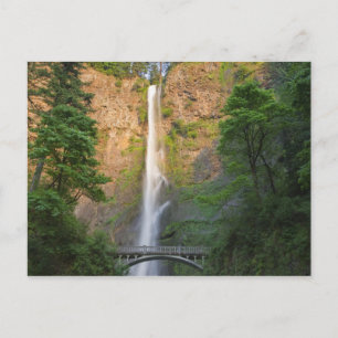 Postal EE. UU., Oregón, desfiladero del río Columbia, Mul