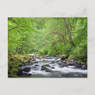 Postal EE.UU., Oregón, desfiladero del río Columbia, Tann