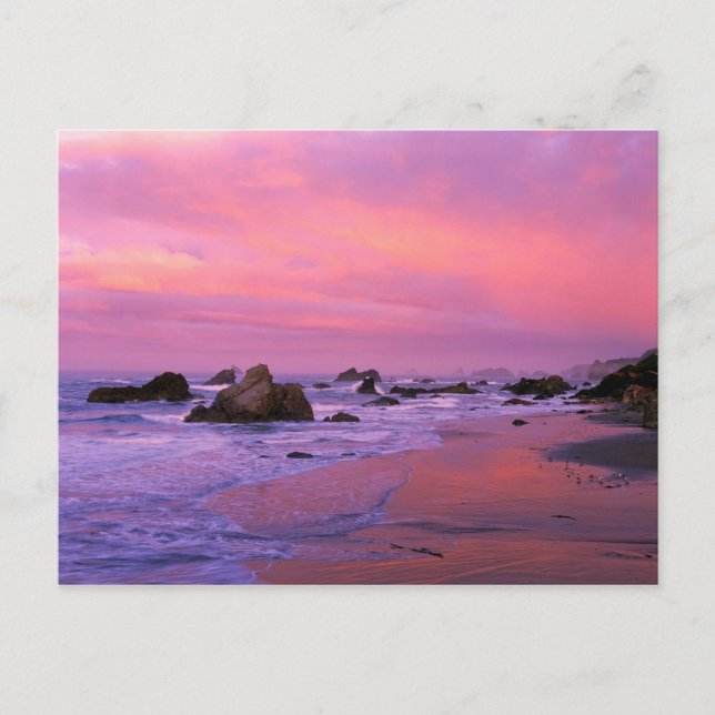 Postal EE. UU., Oregón, Harris State Beach, Brookings. (Anverso)