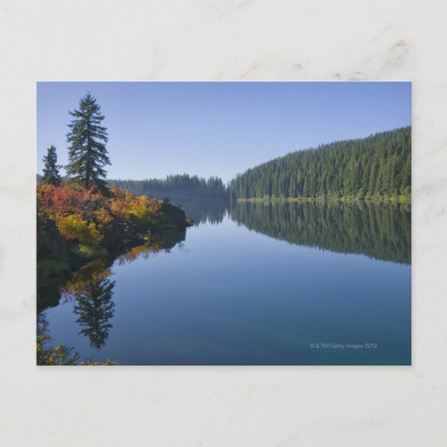 Postal EE.UU., Oregón, lago transparente (Anverso)