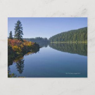 Postal EE.UU., Oregón, lago transparente