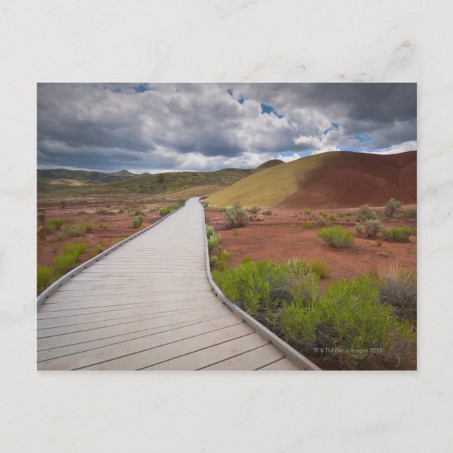 Postal EE.UU., Oregon, Mitchell, Camino entre pintados (Anverso)