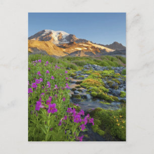 Postal EE. UU., Parque Nacional Mt. Rainier, Washington.