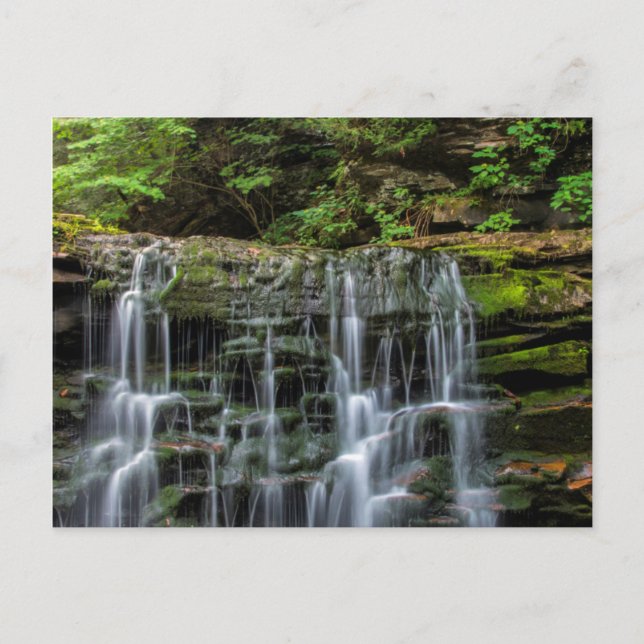 Postal EE. UU., Pensilvania, Benton. Cascada en Ricketts (Anverso)