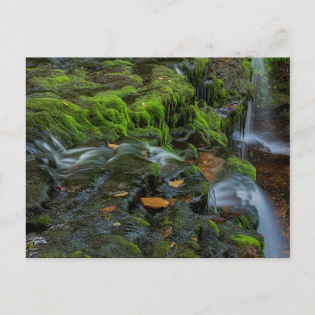 Postal EE. UU., Pensilvania, Benton, Ricketts Glen State (Anverso)