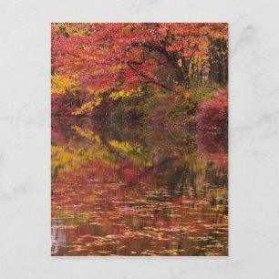 Postal EE. UU., Pensilvania, Delaware Water Gap National