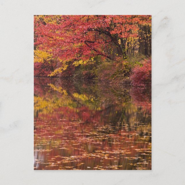 Postal EE. UU., Pensilvania, Delaware Water Gap National (Anverso)
