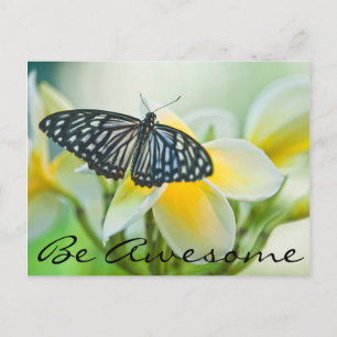 Postal EE. UU., Pensilvania. Mariposa cola de golondrina