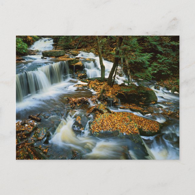 Postal EE. UU., Pensilvania, Parque Estatal Ricketts Glen (Anverso)