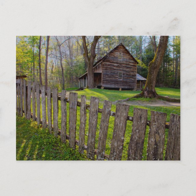 Postal EE. UU., Tennessee, Cabaña en Cades Cove (Anverso)