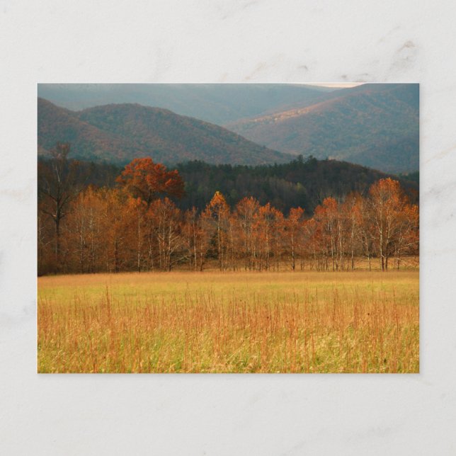 Postal EE.UU., Tennessee. Cades Cove En La Montaña Humean (Anverso)