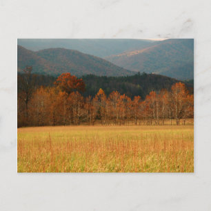 Postal EE. UU., Tennessee. Cades Cove en Smoky Mountain