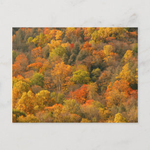 Postal EE. UU., Tennessee. Follaje de otoño 2