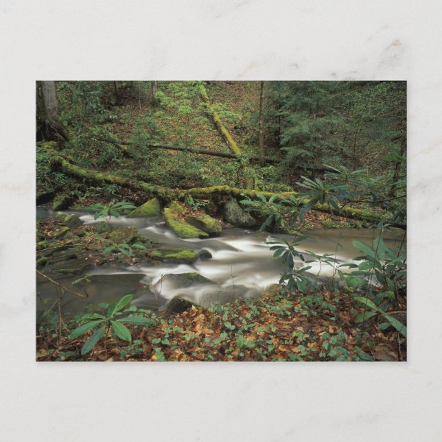 Postal EE.UU., Tennessee. Gran río nacional de la forja s (Anverso)