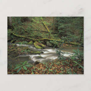 Postal EE.UU., Tennessee. Gran río nacional de la forja s