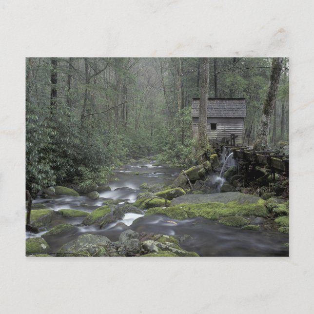 Postal EE.UU., Tennessee, Great Smoky Mountains National  (Anverso)
