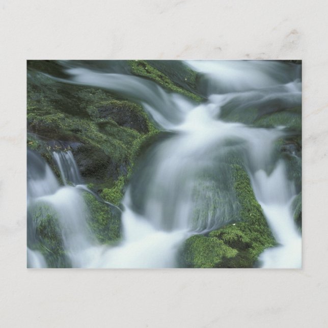 Postal EE.UU., Tennessee, Great Smoky Mountains NP. (Anverso)