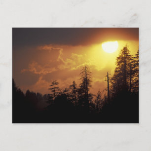 Postal EE.UU., Tennessee, Great Smoky Mountains NP 2