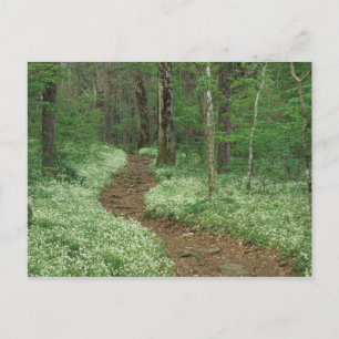 Postal EE.UU., Tennessee, Great Smoky Mountains NP, 3