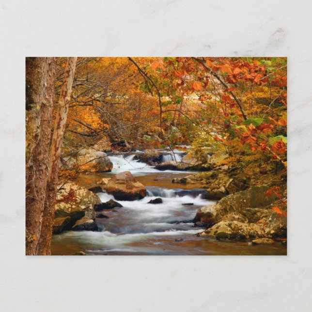 Postal EE. UU., Tennessee. Rushing Mountain Creek (Anverso)