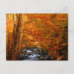 Postal EE. UU., Tennessee. Rushing Mountain Creek 2