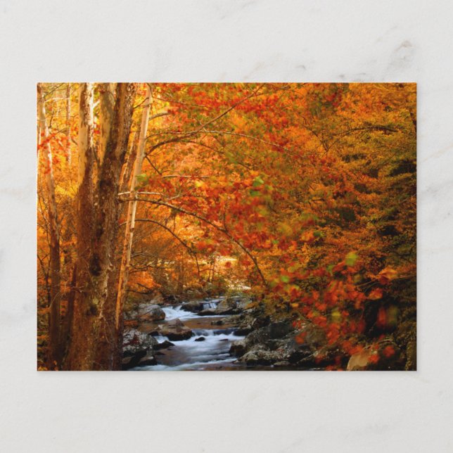 Postal EE. UU., Tennessee. Rushing Mountain Creek 2 (Anverso)