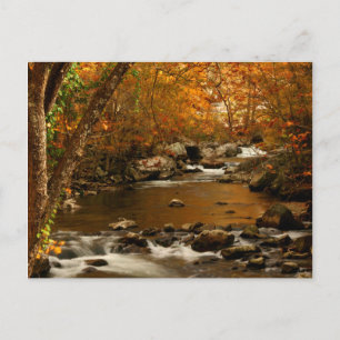 Postal EE. UU., Tennessee. Rushing Mountain Creek 3