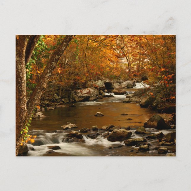 Postal EE. UU., Tennessee. Rushing Mountain Creek 3 (Anverso)