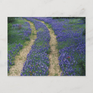 Postal EE. UU., Texas, cerca de Marble Falls, Pistas en a