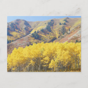 Postal EE. UU., Utah, Bosque Nacional Wasatch-Cache,