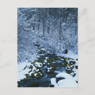 Postal EE. UU., Utah, Bosque Nacional Wasatch-Catch,